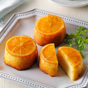 瀬戸内芳醇オレンジケーキ（小丸6個入） 送料無料 ギフト