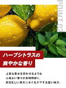 otostore:10009196のサンプル画像3