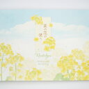 一筆箋 菜の花の便り|mp-573 フロンティア お花雑貨 音手箱
