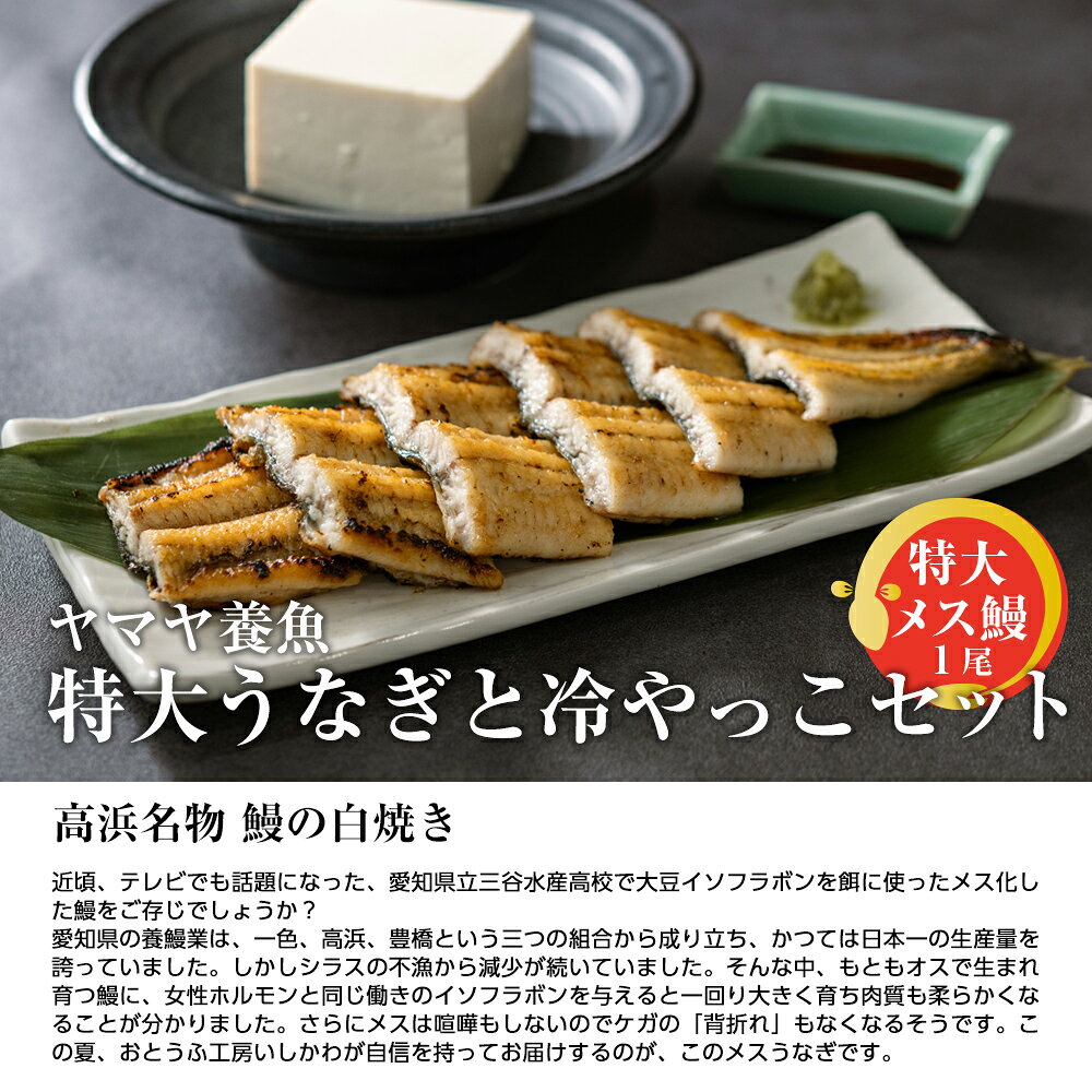 【公式】おとうふ工房いしかわの［2026年夏ギフト］【送料込み】ヤマヤ養魚 特大うなぎと冷やっこセット｜アングル2