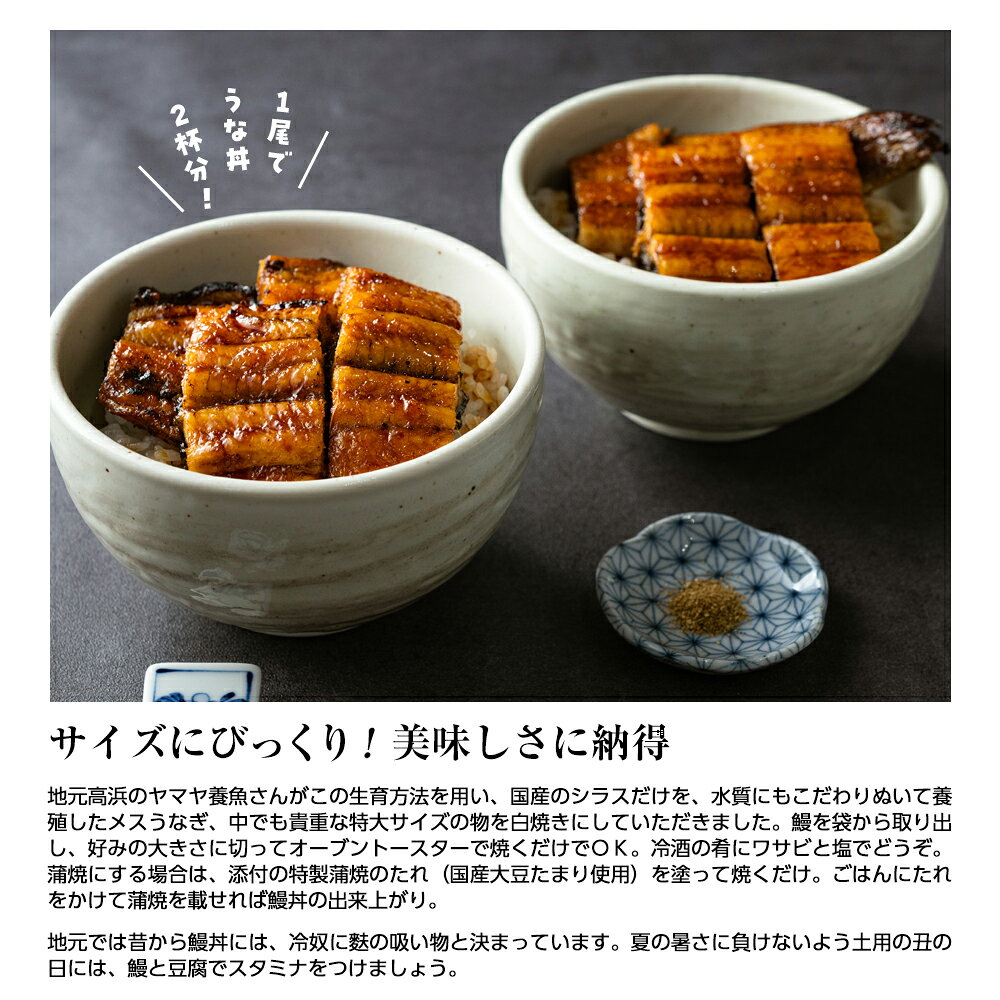 【公式】おとうふ工房いしかわの［2026年夏ギフト］【送料込み】ヤマヤ養魚 特大うなぎと冷やっこセット｜アングル3