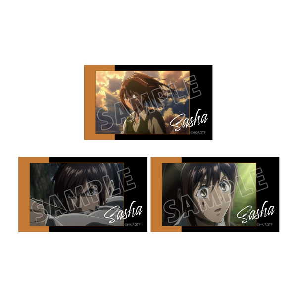 進撃の巨人場面写Ani-Frame...