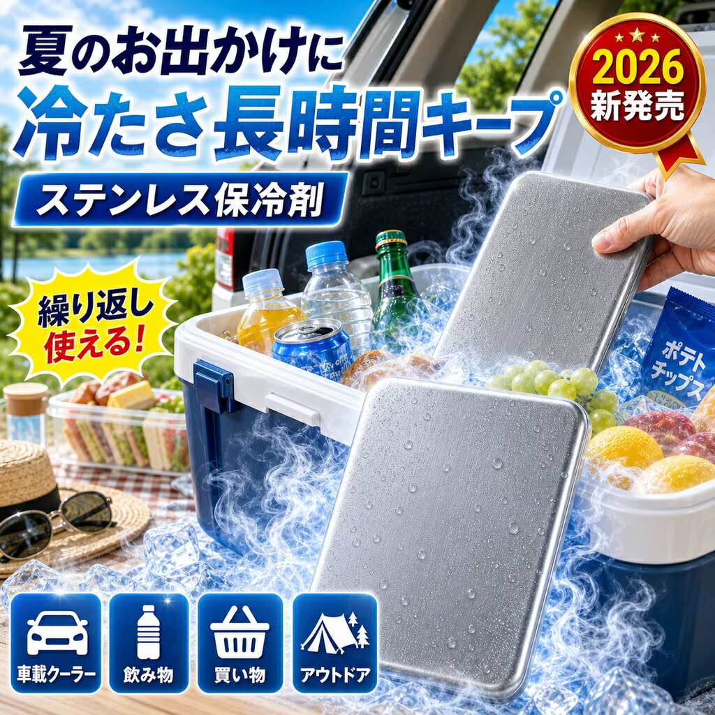 保冷剤 強力 長時間 ステンレス チタン製 繰り返し使える 氷 溶けない クーラーボックス 小型 アイスパック ミニ 弁当 釣り キャンプ 2026 夏対策 クーラーバッグ ランチ トート 氷の代わり 水が出ない 結露なし 長持ち