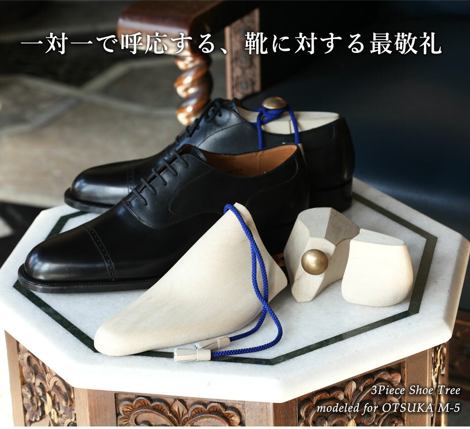 Shoe Tree modeled for OTSUKA M-5��OTSUKA M-5 ���ѥ��塼�ĥ꡼�ˡ���2�����в١�
