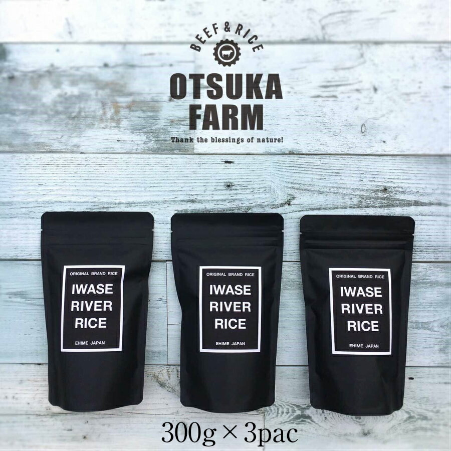 【新米予約 】送料無料 30年産 新米　岩瀬川清流米　300g　×　3pac　コシヒカリ　　贈答　一等米　プレゼント　内祝
