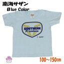 電車 tシャツ キッズ 半袖 電車 子供服 【 南海 特急 サザン ブルー 】 私鉄 在来線 おしゃれ かわいい 親子 乗り物 100 鉄道 グッズ 誕生日 保育園 プレゼント 入園 入学 祝い ポイント消化 送料無料 春 運動会 新生活