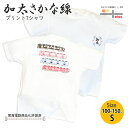 電車tシャツ キッズ 半袖 加太さかな線 両面 プリントtシャツ 南海 めでたい電車 和歌山 観光列車 孫 ペア お揃い 鉄道 グッズ 綿 白 幼稚園 小学生 ...