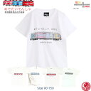 電車tシャツ キッズ 半袖 子供服 【 南海 めでたい電車 tシャツ 】 和歌山 観光列車 孫 ペア服 親子 お揃い 鉄道 グッズ 綿 白 お揃い 子ども 幼稚...