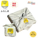 70cm 風呂敷 ドクターイエロー グッズ T4 furoshiki 70cm 50cm 鉄道 JR東海 東海道新幹線 923形 子供 お弁当包み 電車 好き ...
