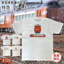 マラソン ポイント5倍 電車 tシャツ キッズ 子供 半袖 鉄道 JR西日本 特急やくも YAKUMO 新型車両 273系 381系 鉄道Tシャツ 電車 好き プレゼント メンズ jr 誕生日プレゼント 中学生 誕生日 就職 入学 お祝 ポイント消化 春 新生活