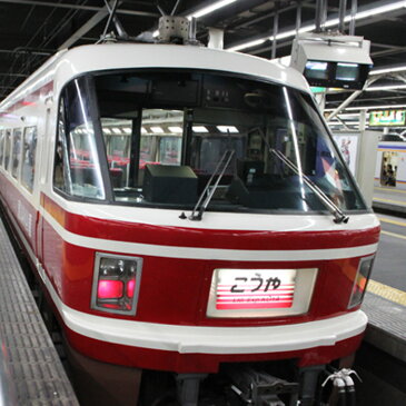 【 南海 こうや号 ミニトートバッグ 名入れ 可 】 鉄道 グッズ 電車 乗り物 オリジナル ミニトート 通園バッグ キャンバス キッズ レッスンバッグ かわいい ランチバッグ マチ付き 帆布 手提げ 保育園 入園祝い 入学祝い プレゼント 新生活特集 ポイント消化