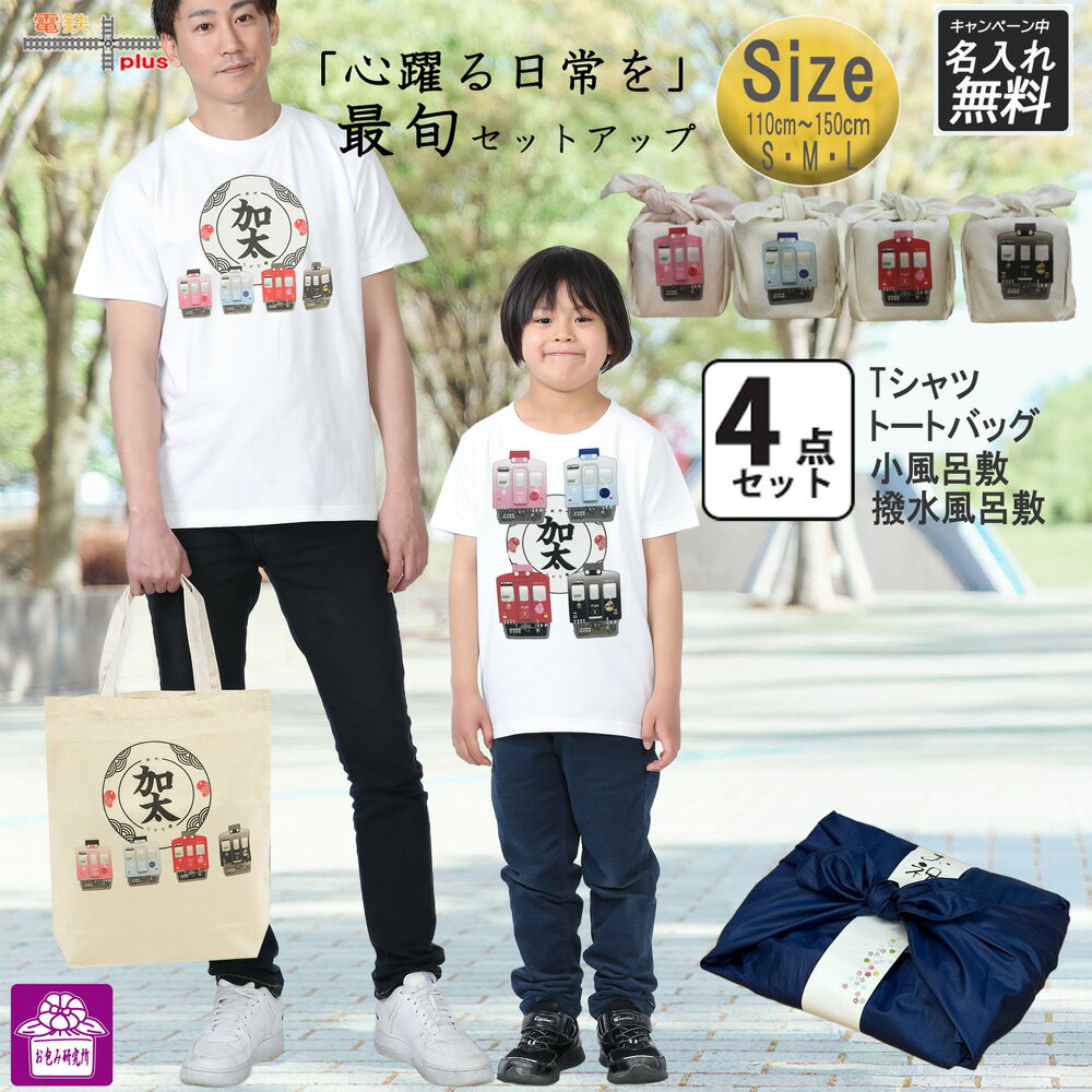 【 新発売 】 鉄道デザイン グッズ 南海電車 めでたい