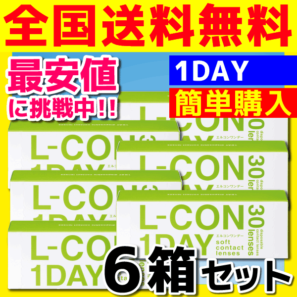 1箱あたり1350円 シンシア　 エルコンワンデー 6箱セット 　1箱30枚入り　 送料無料 通常宅配便配送　lcon 2