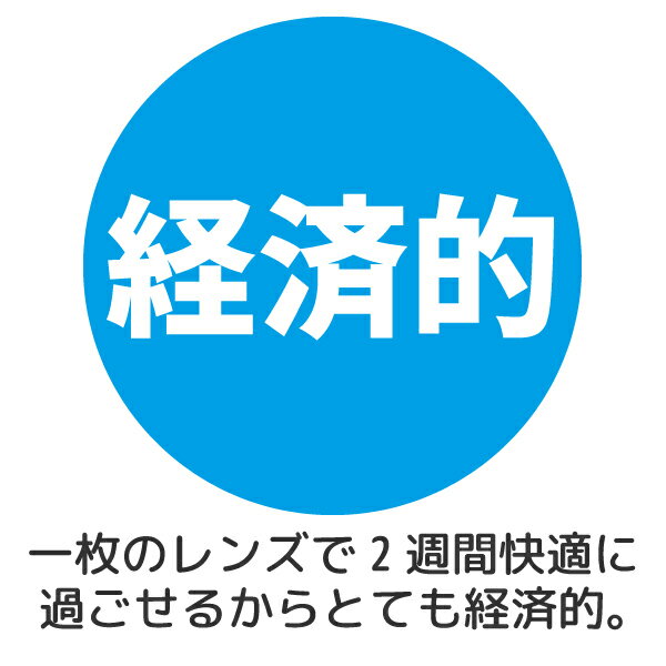 シード ツーウィークピュアうるおいプラス(遠視) 1箱6枚入 12箱 seed 2week Pure 3