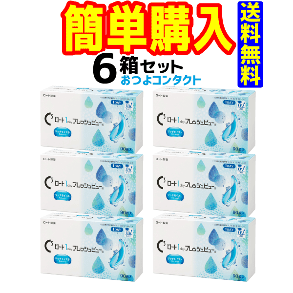 ロート製薬 ワンデーフレッシュビューリッチモイスト1箱90枚入 6箱