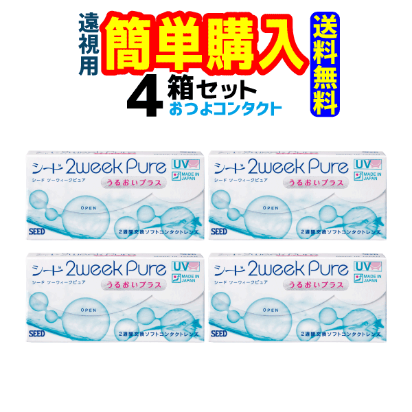 ɡ2weekPure 뤪ץ饹()1Ȣ6 4Ȣ