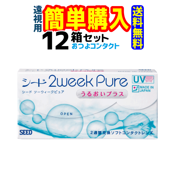 ɡ2weekPure 뤪ץ饹()1Ȣ6 12Ȣ