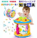 モンテッソーリ おもちゃ ドラム ハイハイ おもちゃ 赤ちゃん 楽器 知育おもちゃ 早期開発 指先訓練 音の出るおもちゃ 音楽おもちゃ 8色ライト 6つ海洋生物...