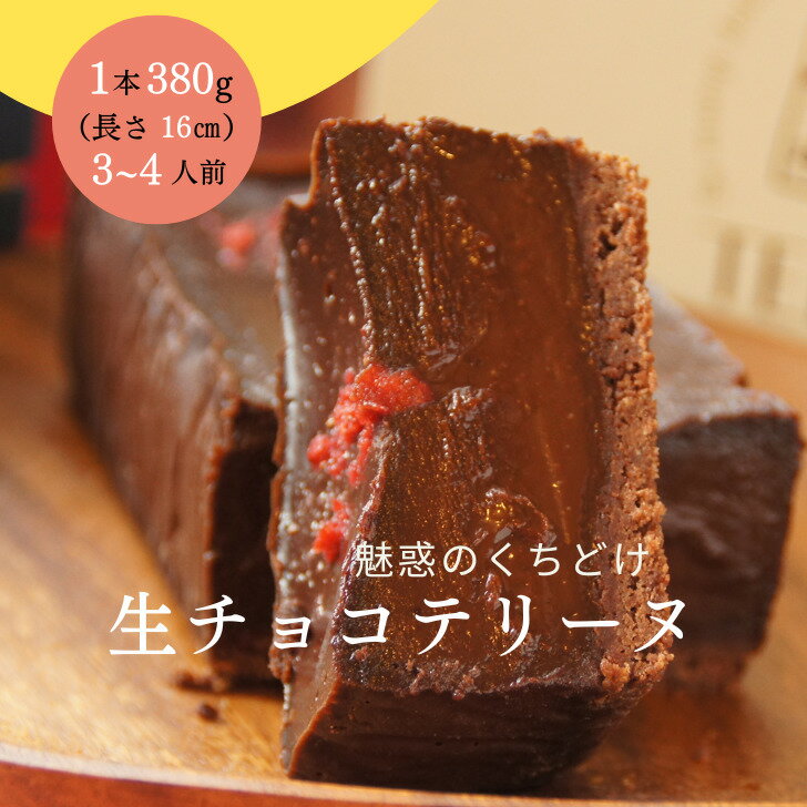 ガトーショコラ 生チョコテリーヌ 濃厚 ガトーショコラ 送料無料 チョコレートテリーヌ チョコ テリーヌ 誕生日 高級チョコレート otto テリーヌショコラ お取り寄せスイーツ お酒に合う ギフト 人気