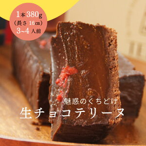 バレンタイン 生チョコテリーヌ 濃厚 ガトーショコラ ホワイトデー 送料無料 チョコレートテリーヌ チョコ テリーヌ 誕生日 高級チョコレート otto テリーヌショコラ お取り寄せスイーツ お酒に合う ギフト 人気