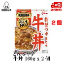 【スーパーセール限定価格】 送料無料 レトルト牛丼 食品 レトルト和風総菜 DONBURI亭 牛丼 160g x 2個