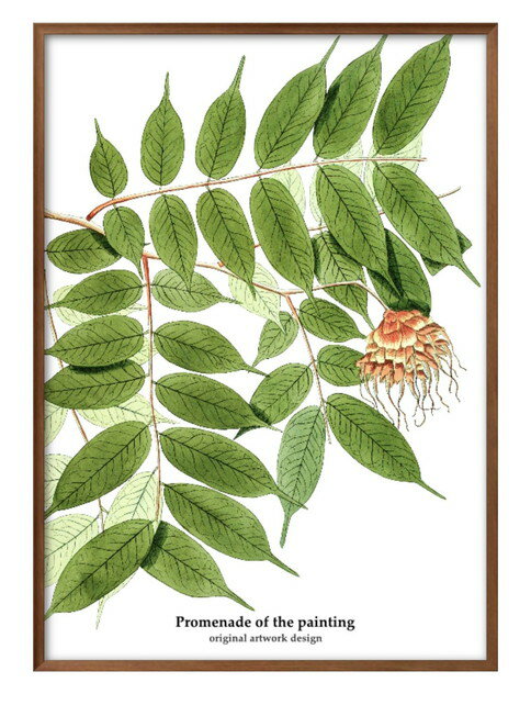  ե λƻ ꥸʥ뾦 A3  ݥ    ƥꥢ ̲ 饹 ޥåȻ ä ȥѥͥ  ե...