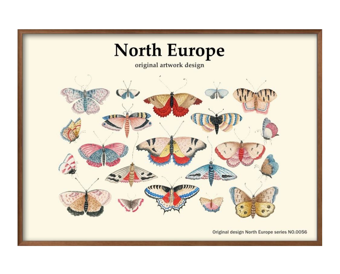 蝶々 バタフライ A3 サイズ ポスター アート おしゃれ 絵画 インテリア 北欧 イラスト マット紙 艶消し アートパネル 額 フレーム デザイン 壁掛け ギ...