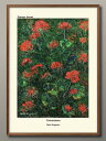 花の香りシリーズ オリジナル商品 Geraniums Boris Grigoriev A3 サイズ ポスター アート おしゃれ 絵画 インテリア 北欧 イラスト...