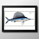 海洋生物 ビンテージイラスト A3 サイズ ポスター アート おしゃれ 絵画 インテリア 北欧 イラスト マット紙 艶消し アートパネル 額 フレーム デザイン...