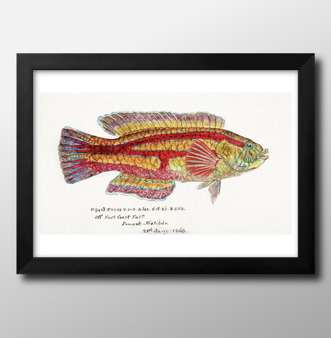 ʪ ӥơ饹 A3  ݥ    ƥꥢ ̲ 饹 ޥåȻ ä ȥѥͥ  ե졼 ǥ...