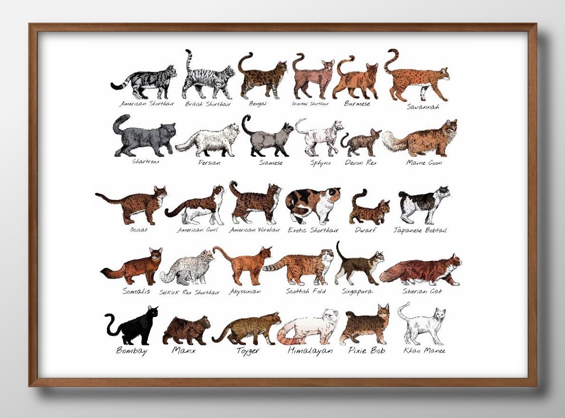 ǭʼ拾쥯 A3  ݥ    ƥꥢ ̲ 饹 ޥåȻ ä ȥѥͥ  ե졼 ǥ ɳݤ...