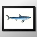 海洋生物 ビンテージイラスト A3 サイズ ポスター アート おしゃれ 絵画 インテリア 北欧 イラスト マット紙 艶消し アートパネル 額 フレーム デザイン...