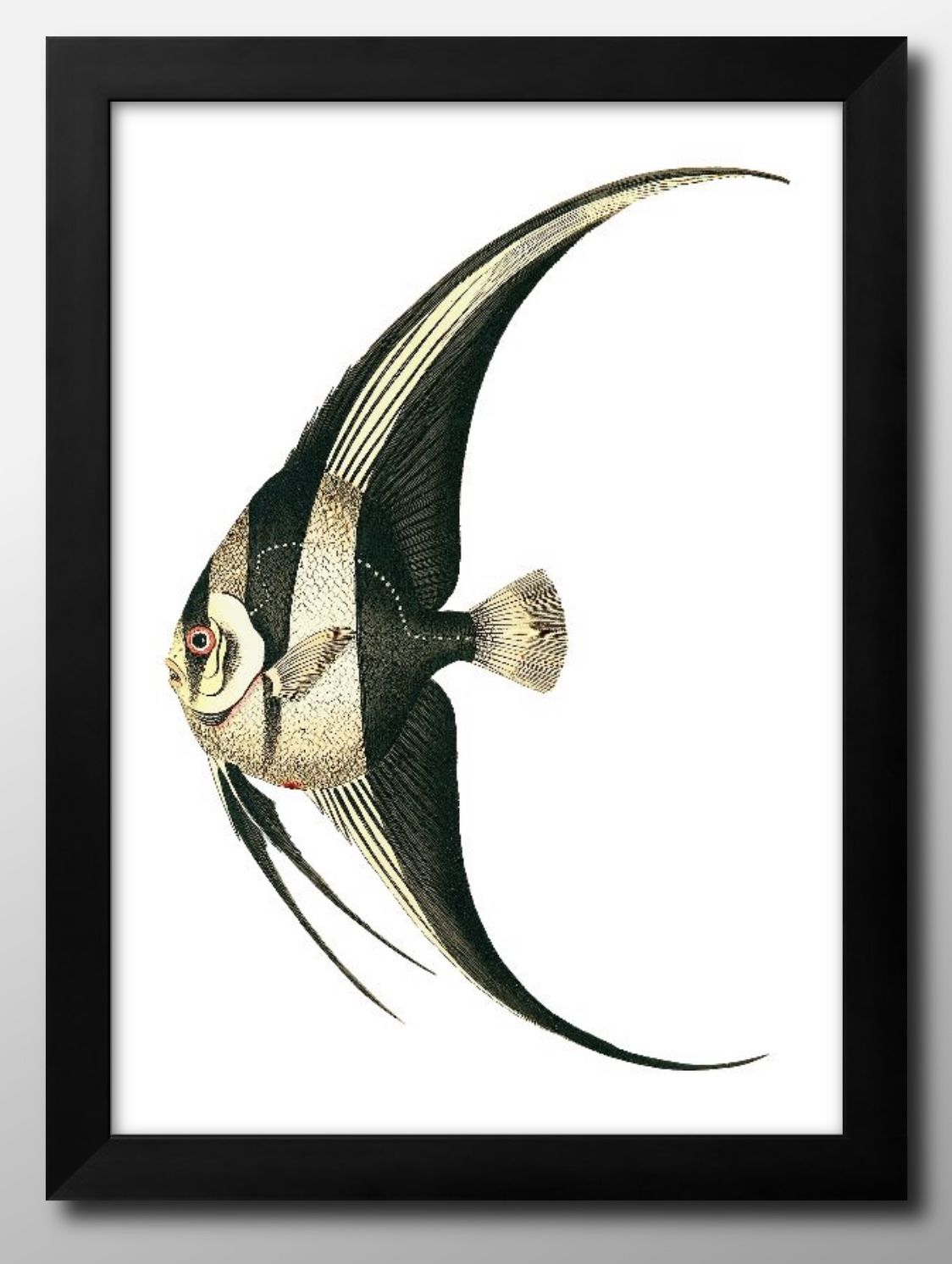 海洋生物 ビンテージイラスト A3 サイズ ポスター アート おしゃれ 絵画 インテリア 北欧 イラスト マット紙 艶消し アートパネル 額 フレーム デザイン...