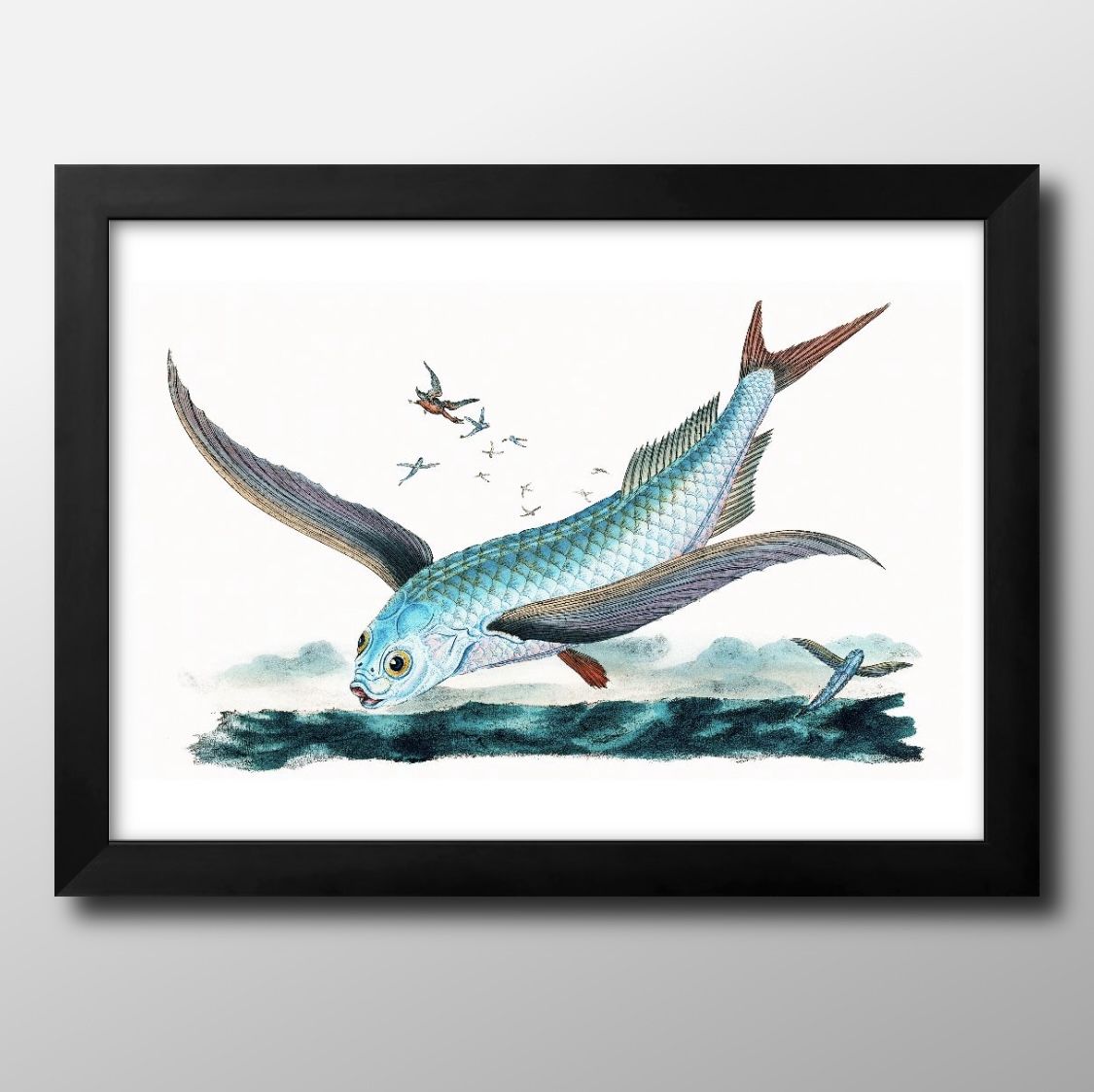 ʪ ӥơ饹 A3  ݥ    ƥꥢ ̲ 饹 ޥåȻ ä ȥѥͥ  ե졼 ǥ...