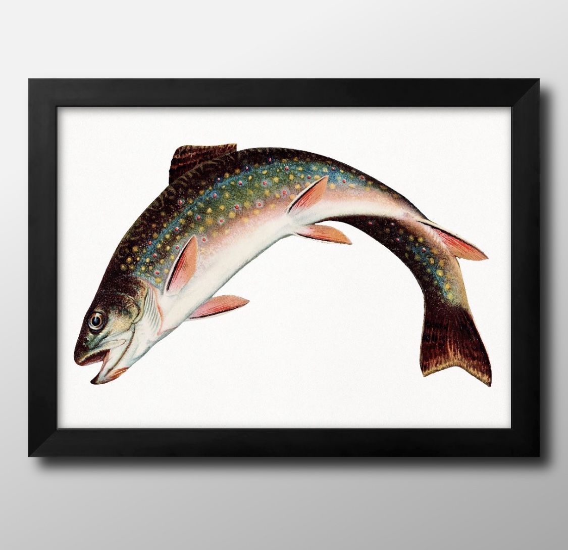 ʪ ӥơ饹 A3  ݥ    ƥꥢ ̲ 饹 ޥåȻ ä ȥѥͥ  ե졼 ǥ...