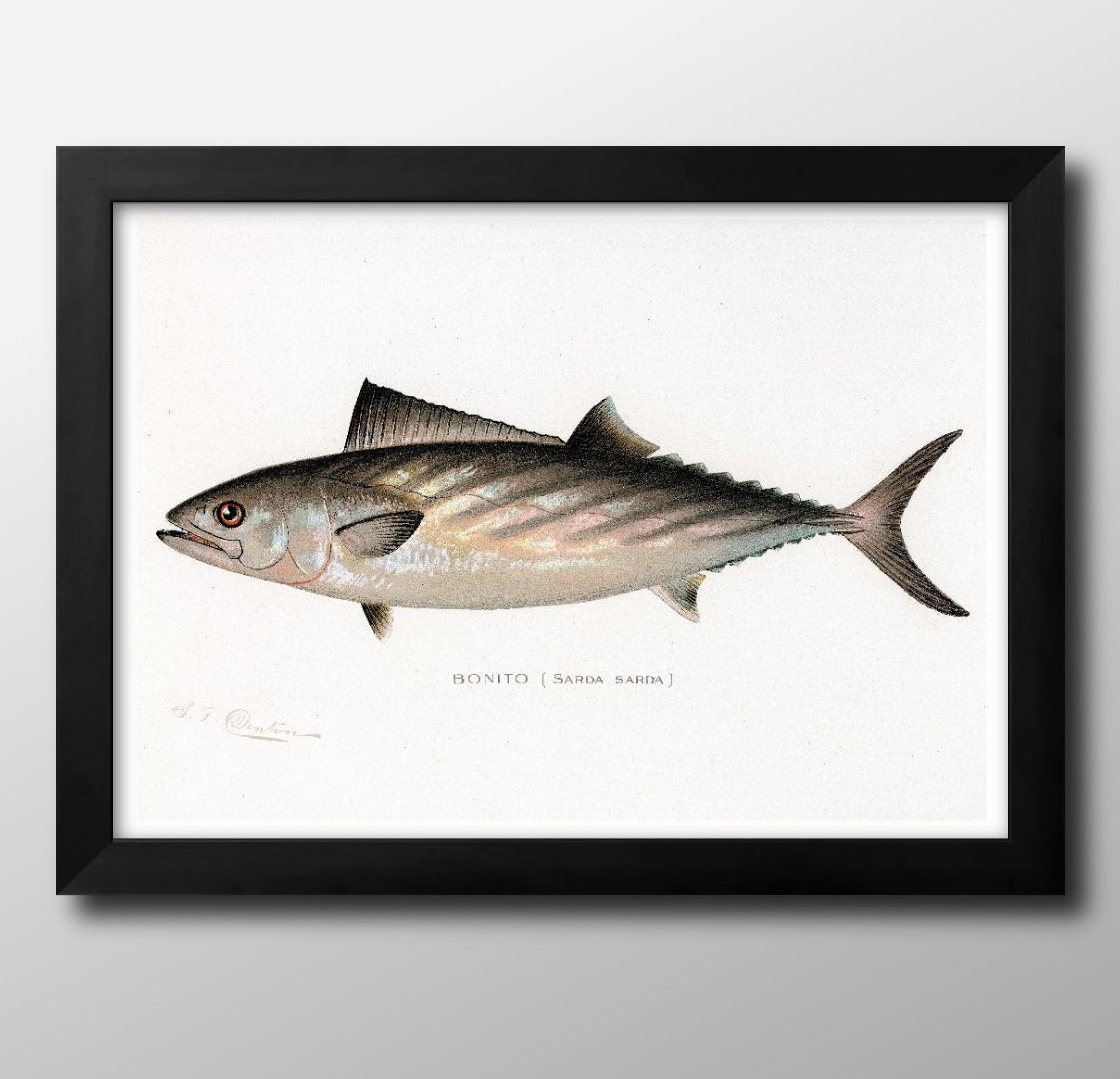 ʪ ӥơ饹 A3  ݥ    ƥꥢ ̲ 饹 ޥåȻ ä ȥѥͥ  ե졼 ǥ...