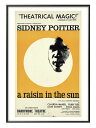 MITポスター A Raisin in the Sun A3 サイズ ポスター アート おしゃれ 絵画 インテリア 北欧 イラスト マット紙 艶消し アートパネ...