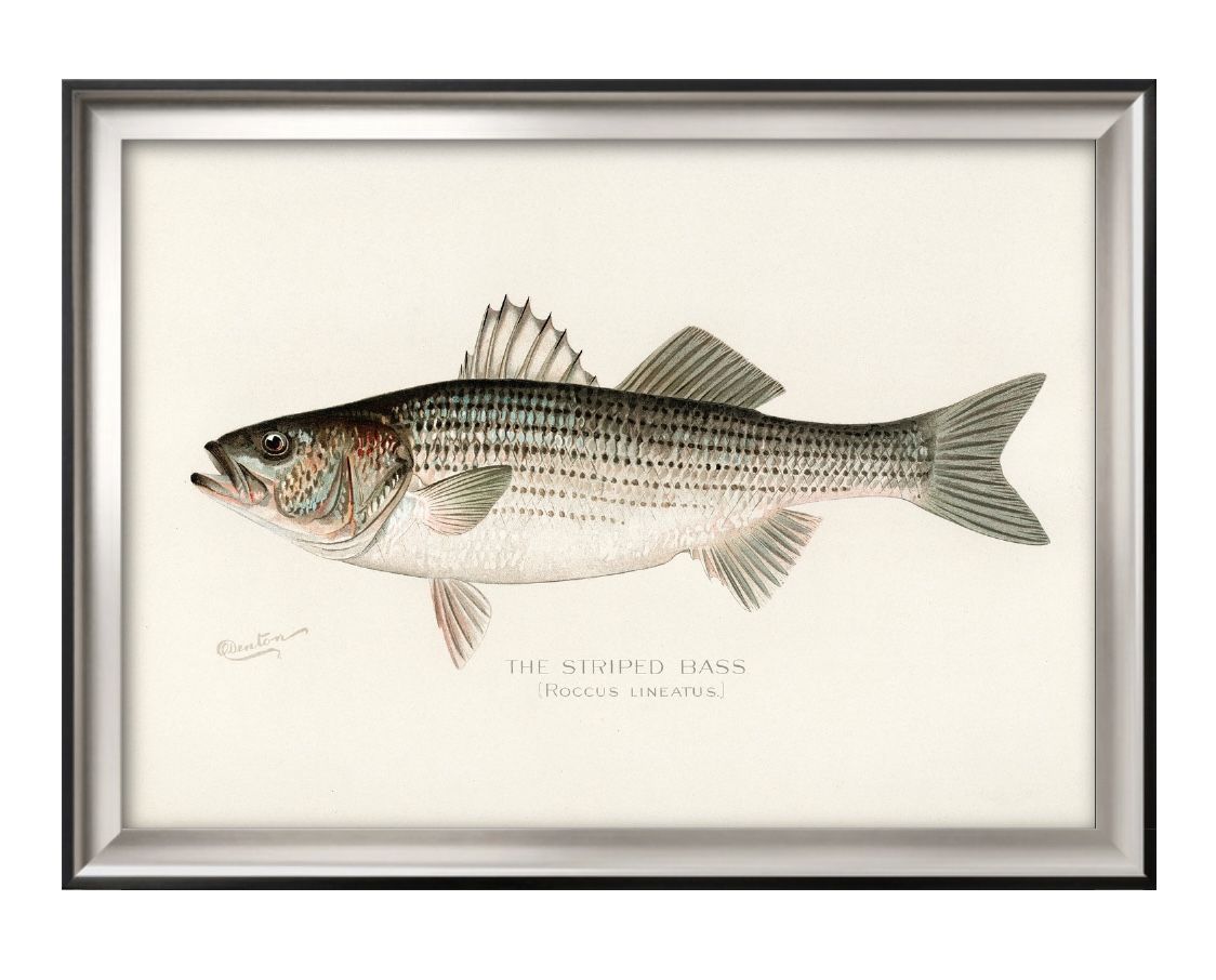 ストライプベース ビンテージイラスト A3 サイズ ポスター アート おしゃれ 絵画 インテリア 北欧 イラスト マット紙 艶消し アートパネル 額 フレーム ...