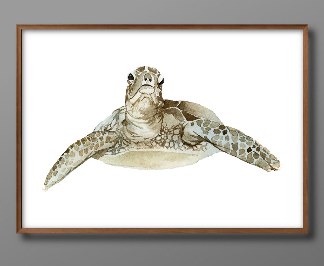 亀 タートル ウミガメ ビンテージ 水彩 A3 サイズ ポスター アート おしゃれ 絵画 インテリア 北欧 イラスト マット紙 艶消し アートパネル 額 フレー...