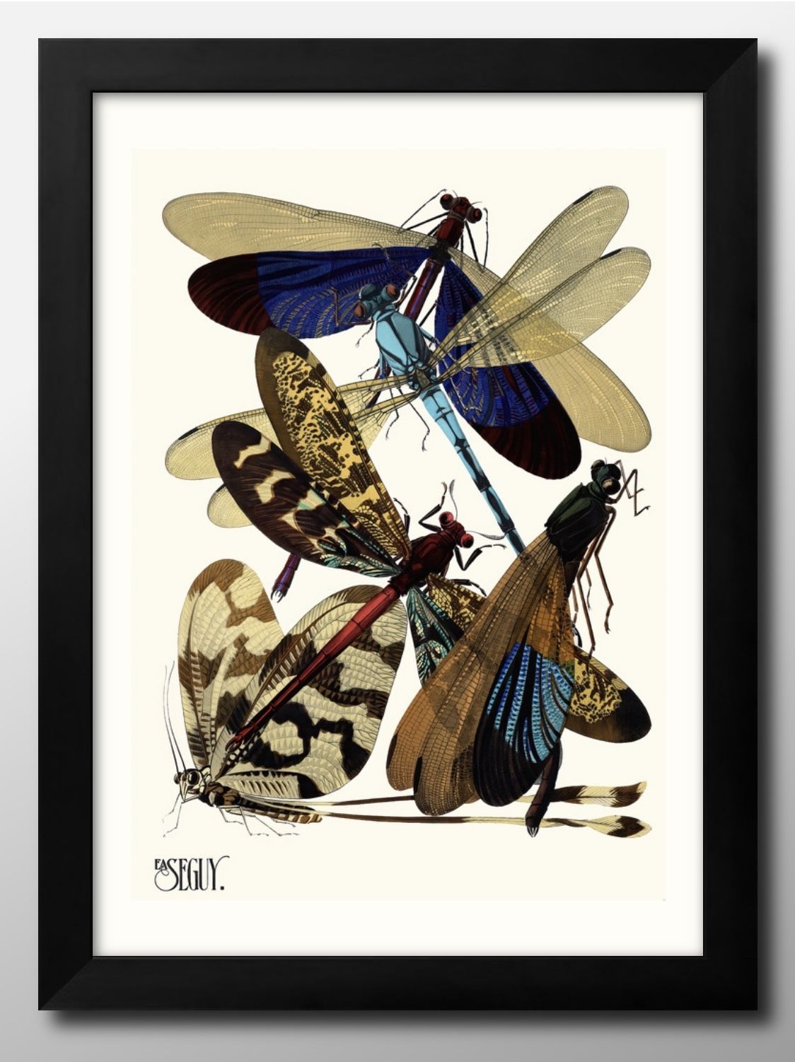 エミール=アラン セギー 昆虫 図鑑 A3 サイズ ポスター アート おしゃれ 絵画 インテリア 北欧 イラスト マット紙 艶消し アートパネル 額 フレーム ...