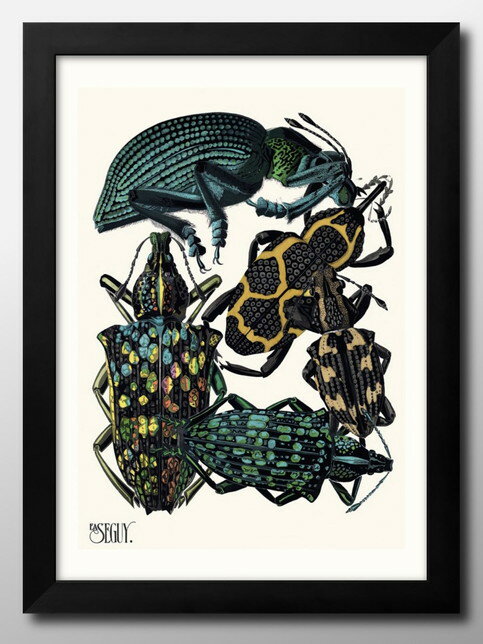 ߡ=   ޴ A3  ݥ    ƥꥢ ̲ 饹 ޥåȻ ä ȥѥͥ  ե졼 ...