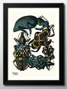 エミール=アラン セギー 昆虫 図鑑 A3 サイズ ポスター アート おしゃれ 絵画 インテリア 北欧 イラスト マット紙 艶消し アートパネル 額 フレーム ...