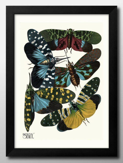 エミール=アラン セギー 昆虫 図鑑 A3 サイズ ポスター アート おしゃれ 絵画 インテリア 北欧 イラスト マット紙 艶消し アートパネル 額 フレーム ...