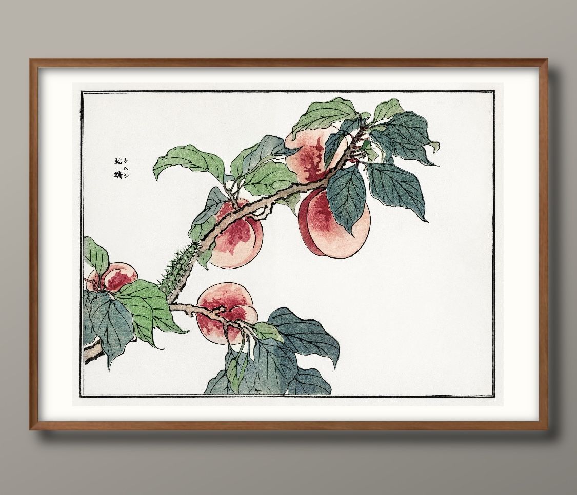 森本東子 毛虫 桃 A3 サイズ ポスター アート おしゃれ 絵画 インテリア 北欧 イラスト マット紙 艶消..