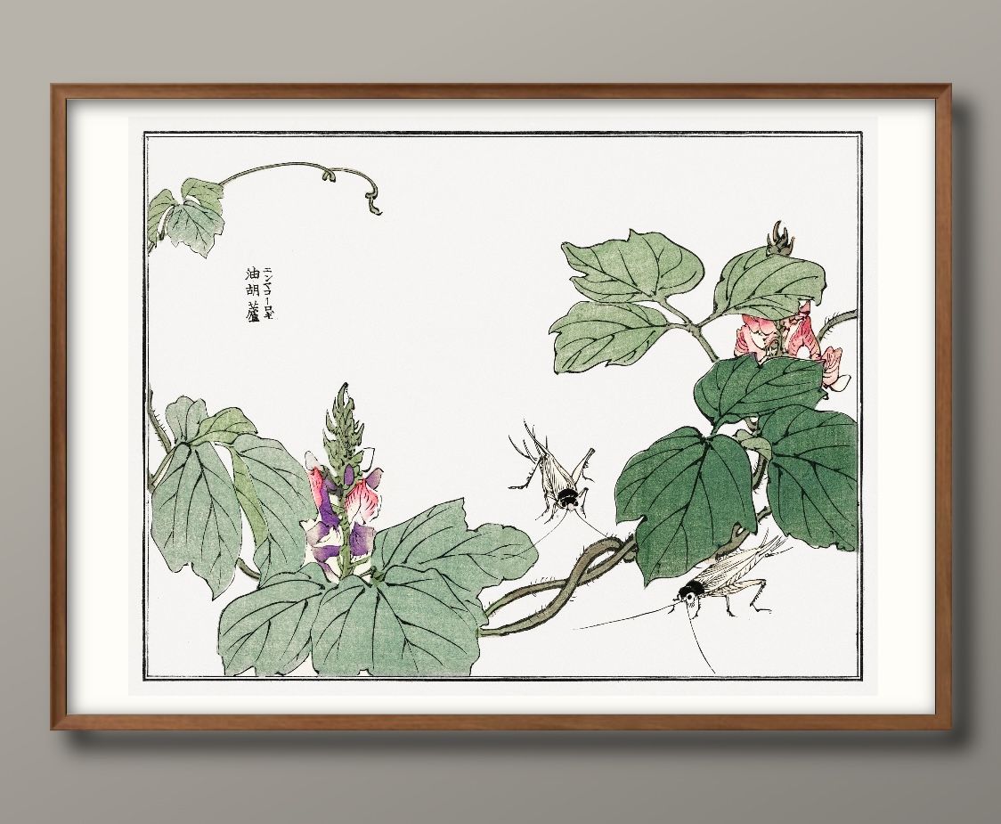  ޥ A3  ݥ    ƥꥢ ̲ 饹 ޥåȻ ä ȥѥͥ  ե졼 ǥ ...