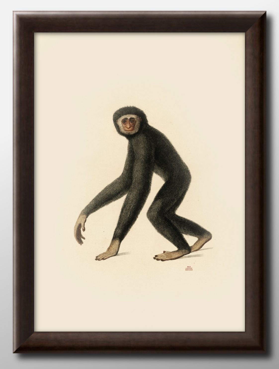 륤᥸ԥ å Le Gibbon A3  ݥ    ƥꥢ ̲ 饹 ޥåȻ ä ȥ...