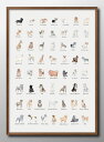 犬 イヌ 図鑑 品種 DOG A3 サイズ ポスター アート おしゃれ 絵画 インテリア 北欧 イラスト マット紙 艶消し アートパネル 額 フレーム デザイン...