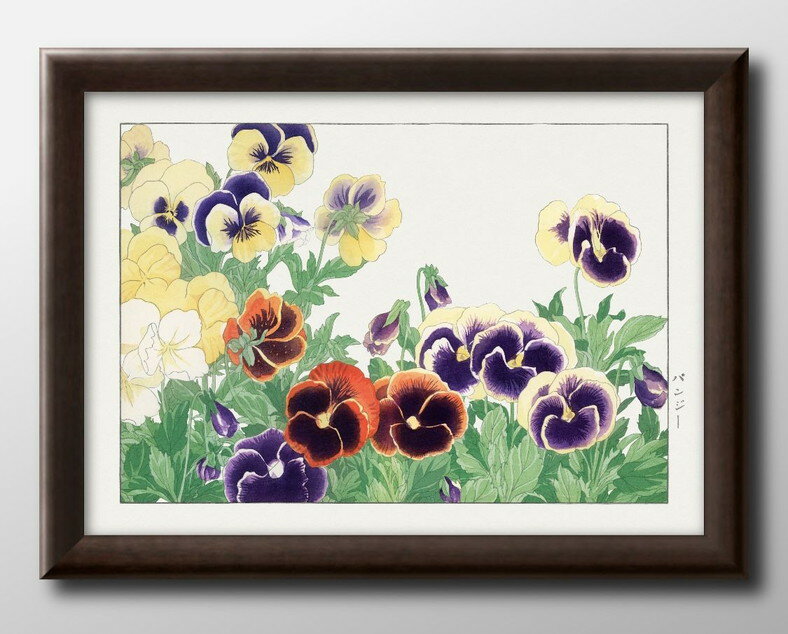 花 フラワー ボタニカル 谷上広南 西洋草花図譜 日本画 A3 サイズ ポスター アート おしゃれ 絵画 インテリア 北欧 イラスト マット紙 艶消し アートパ...