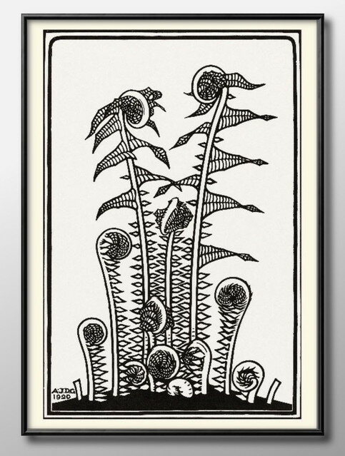 ジュリー ド グリーグ シダ類 ボタニカル A3 サイズ ポスター アート おしゃれ 絵画 インテリア 北欧 イラスト マット紙 艶消し アートパネル 額 フレ...