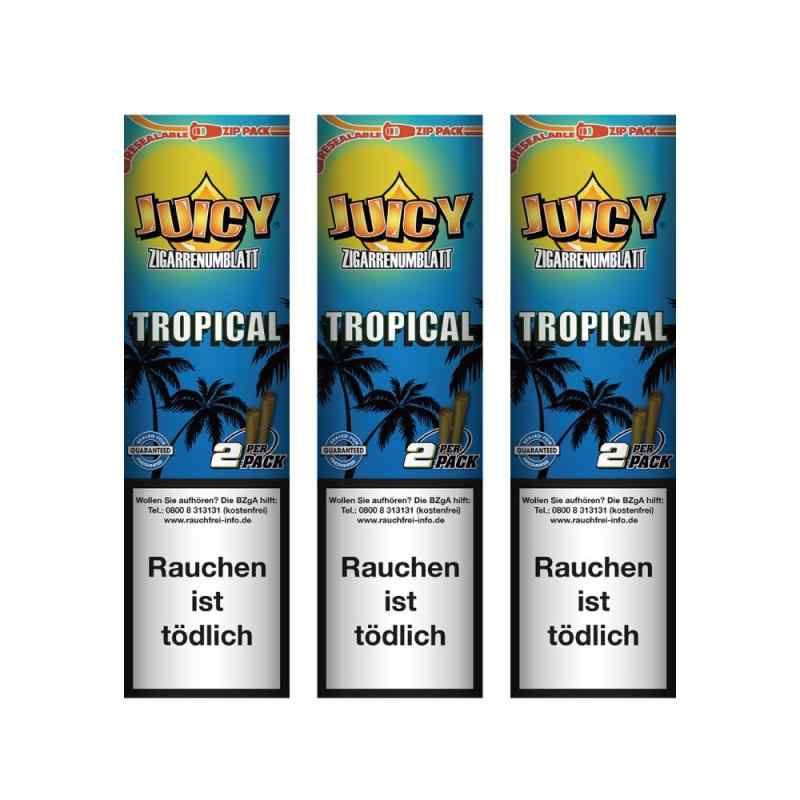 3ĥåȡ JUICY JAY'S BLUNT 塼 ֥ ڡѡ 23ѥå - TROPICAL